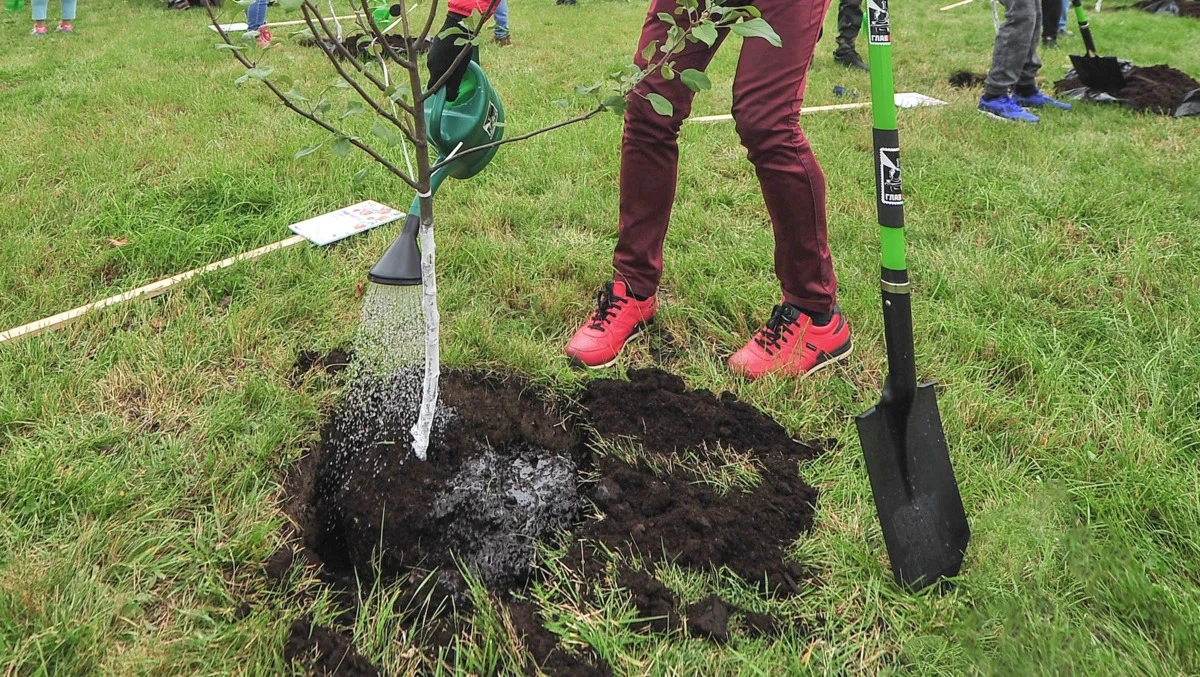 Афиша трансляции Спортсмены сажают деревья в рамках акции "Сад памяти"
