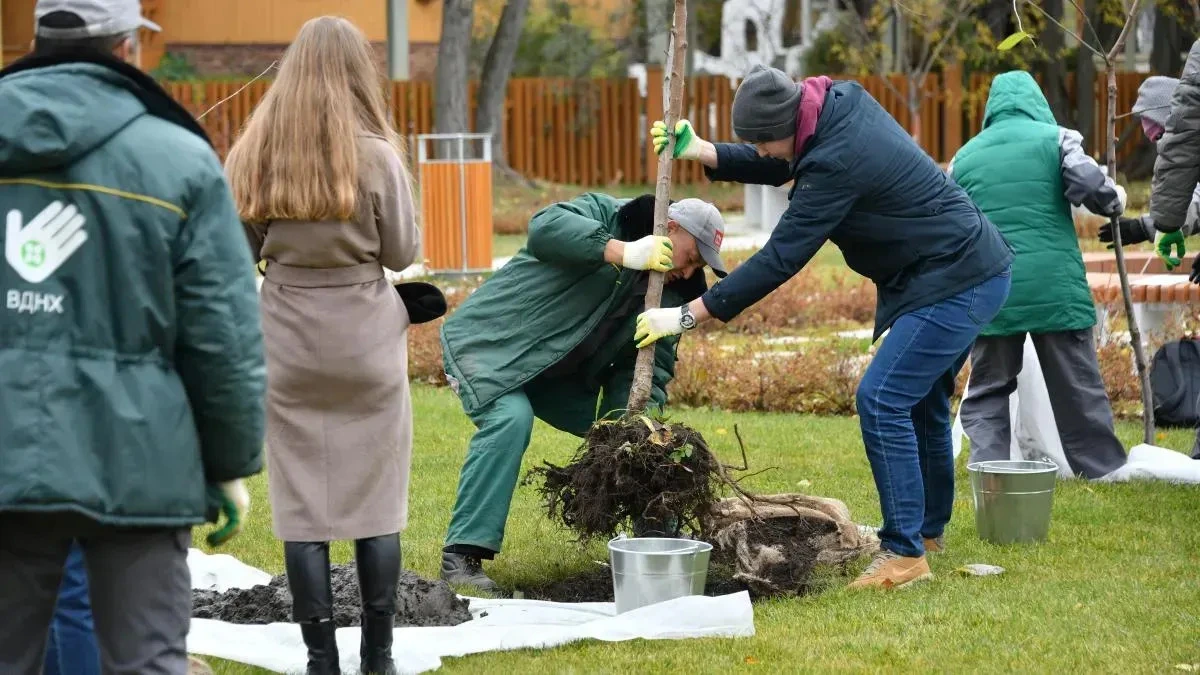 Афиша трансляции Известные люди участвуют в субботнике на ВДНХ