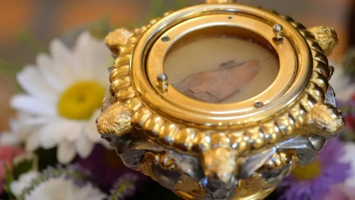 Афиша трансляции Встреча мощей Петра и Февронии и молебен патриарха Кирилла