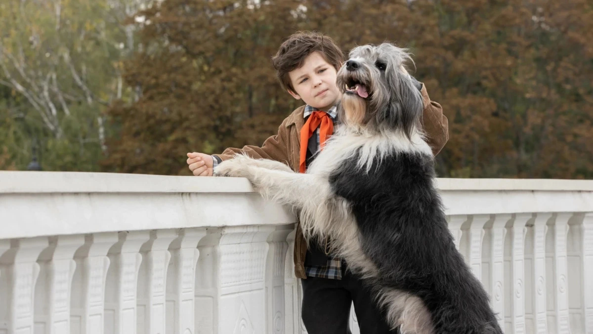 Афиша трансляции Гости показа фильма "Каждый мечтает о собаке"