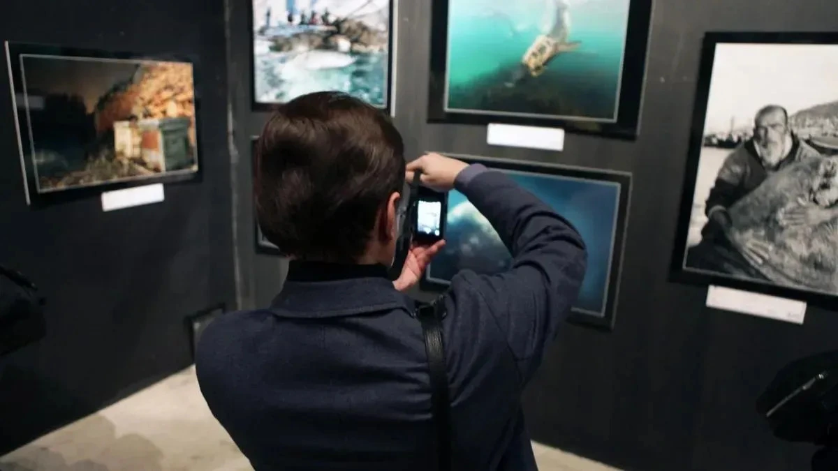 Афиша трансляции Экскурсия по фестивалю "Золотая черепаха"