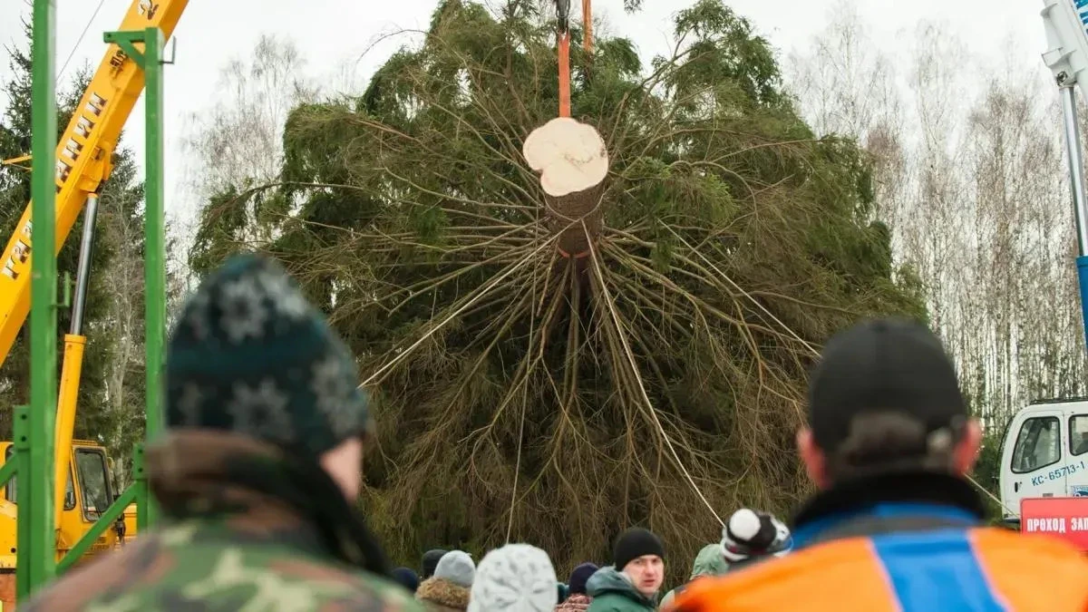 Афиша трансляции Отправка главной новогодней елки из Подмосковья в столицу