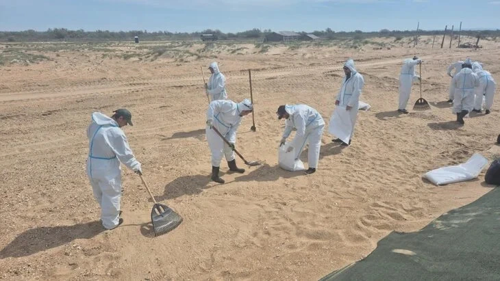 Афиша трансляции Дискуссия об экологической обстановке на побережье Анапы