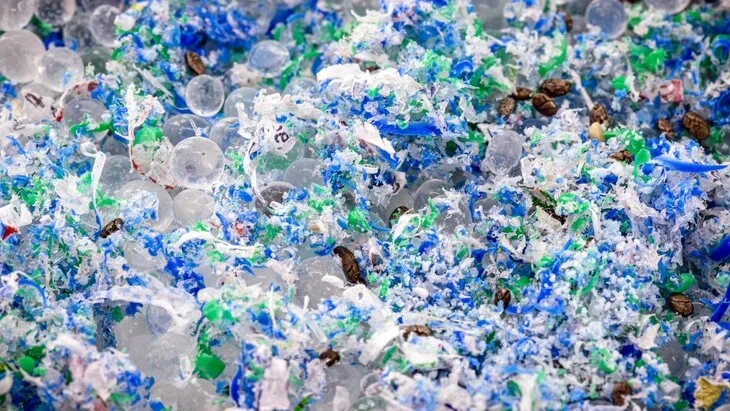 Афиша трансляции Дискуссия о влиянии микропластика на экологию