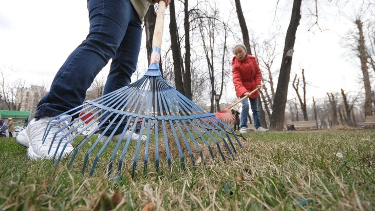Афиша трансляции Весенний субботник прошел на территории ВДНХ