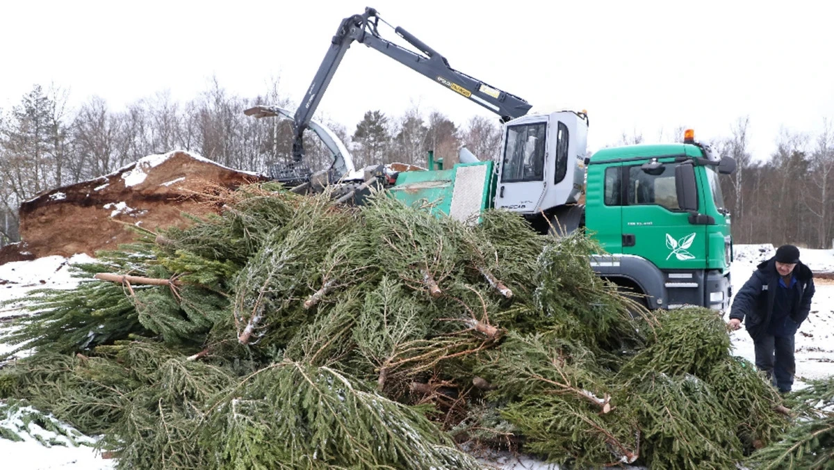 Афиша трансляции Работа пункта утилизации новогодних елок