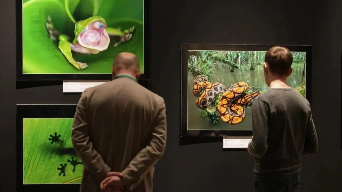 Афиша трансляции Экскурсия по фестивалю дикой природы "Золотая черепаха"