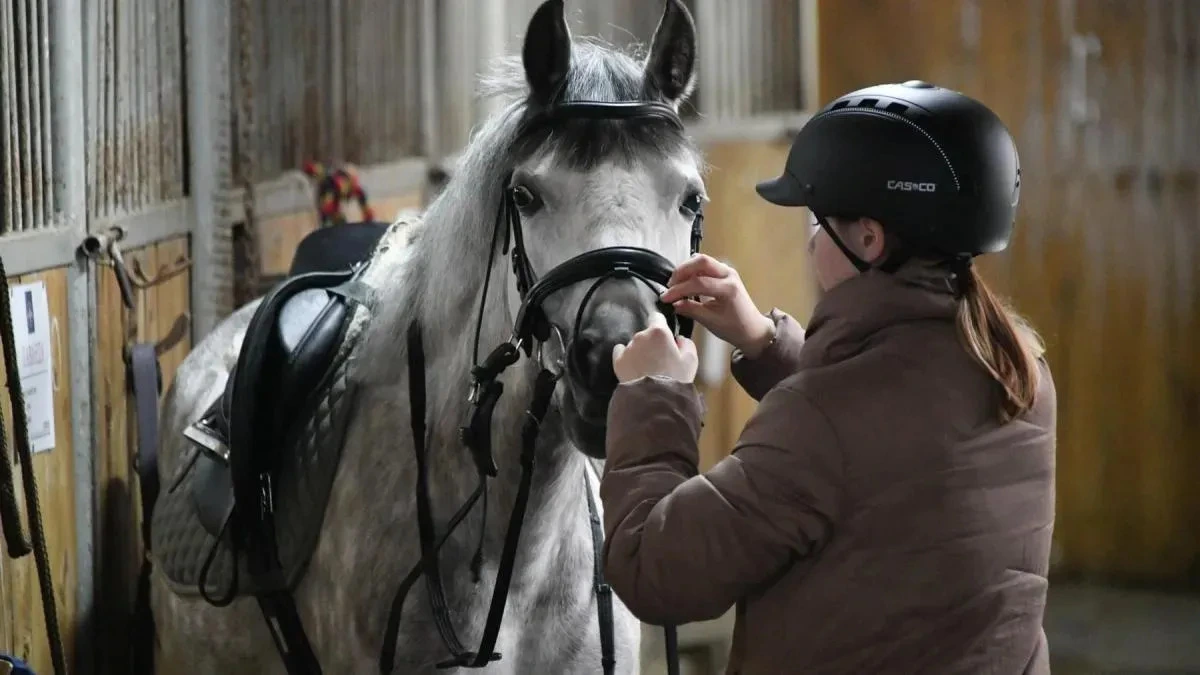 Афиша трансляции Всероссийские соревнования по конному спорту