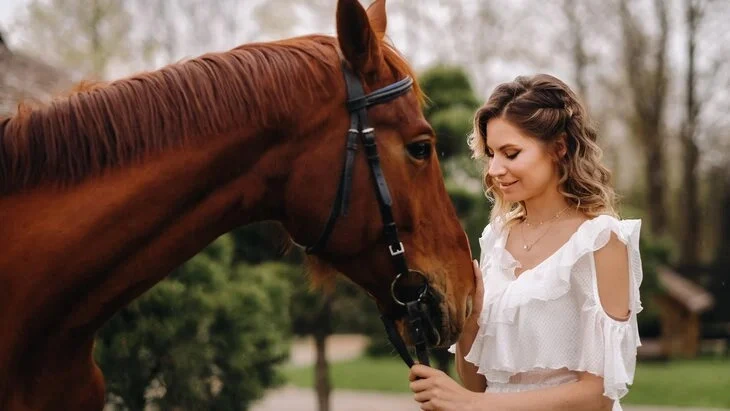 Афиша трансляции Cвадебные церемонии на лошадях