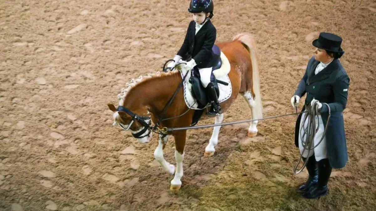 Афиша трансляции Всероссийские соревнования по пони-спорту