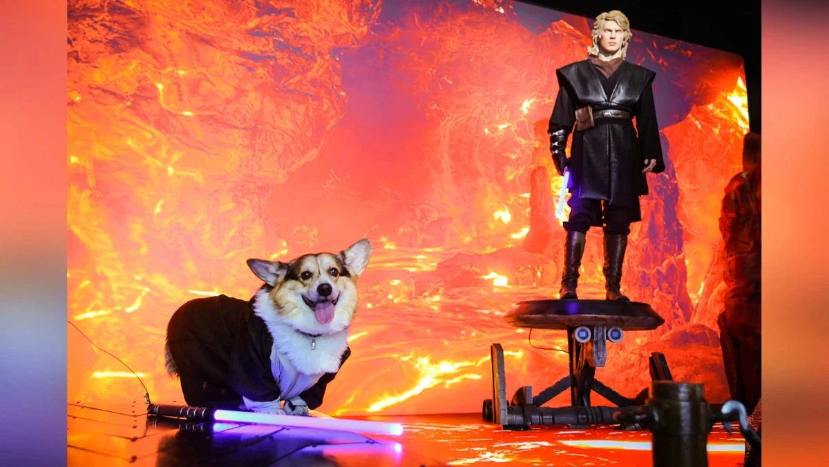 Афиша трансляции Шествие и забег корги-джедаев на ВДНХ