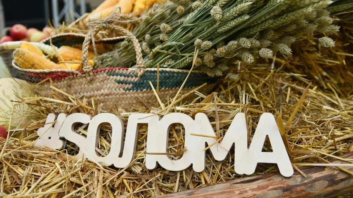 Афиша трансляции New Life Brass и Антон Лаврентьев на фестивале "Sолома"