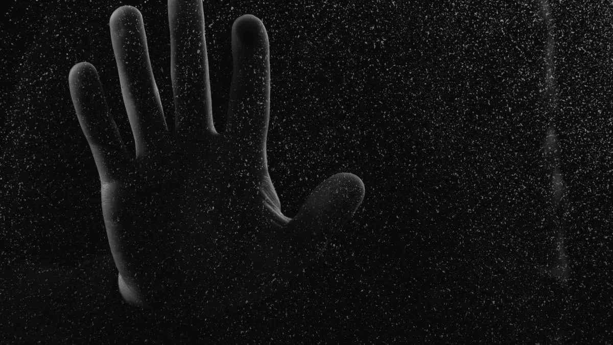 Афиша трансляции Ночной фортепианный концерт на "Красном Октябре"