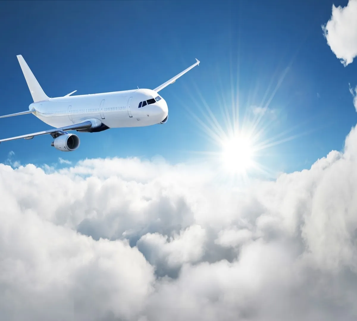 Афиша трансляции Прибытие вывозного рейса с российскими туристами