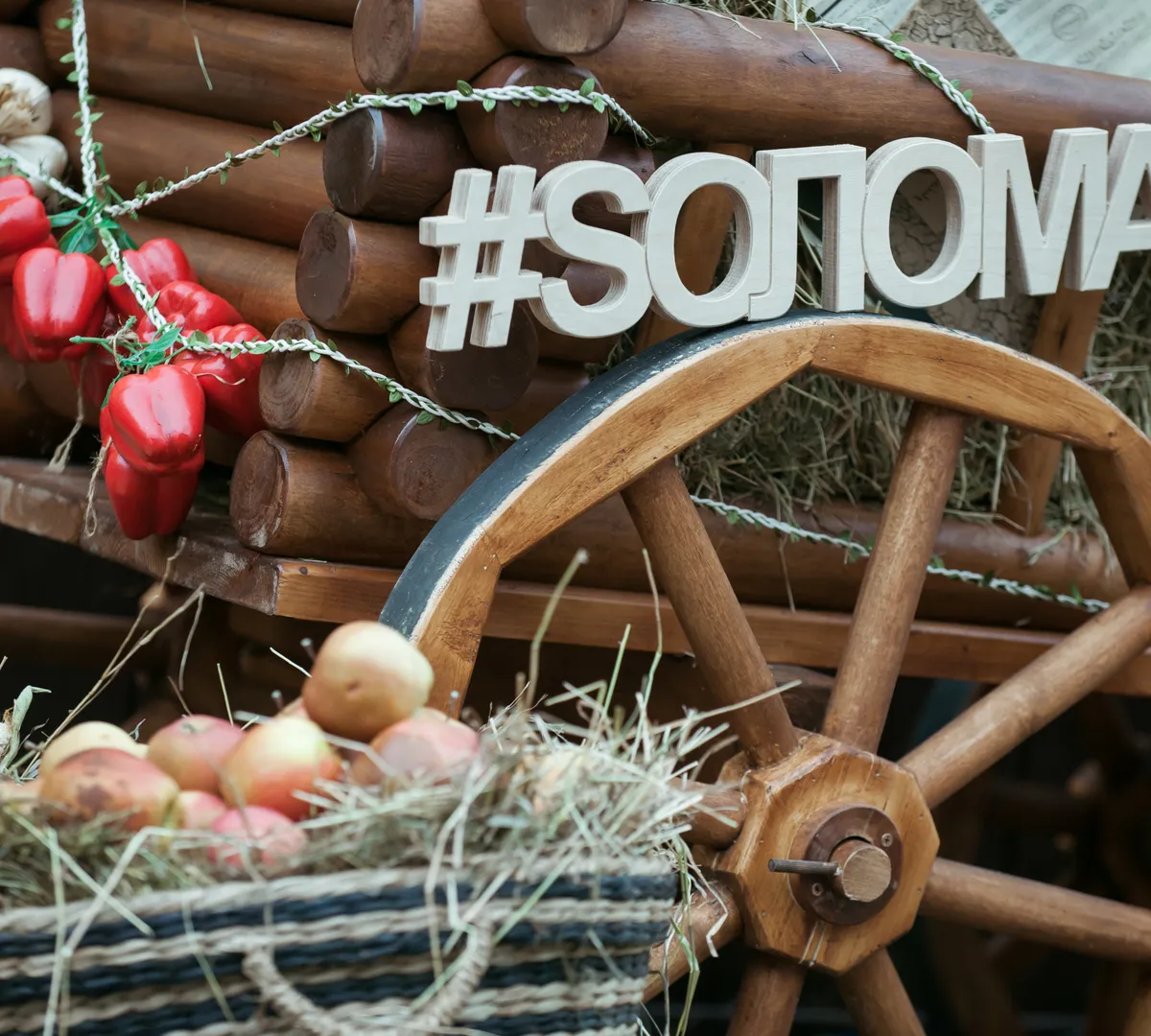 Афиша трансляции Музыкально-поэтический фестиваль "Sолома" в саду "Эрмитаж"