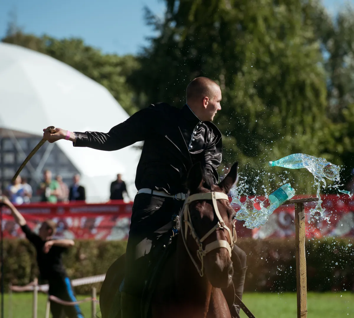 Афиша трансляции Шоу донских жеребцов и цирковые трюки