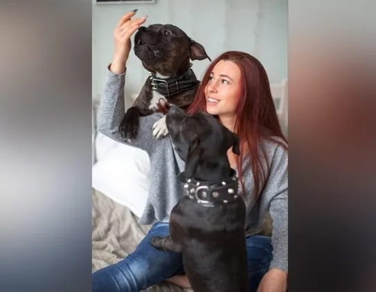 Афиша трансляции Как ухаживать за собакой во время самоизоляции