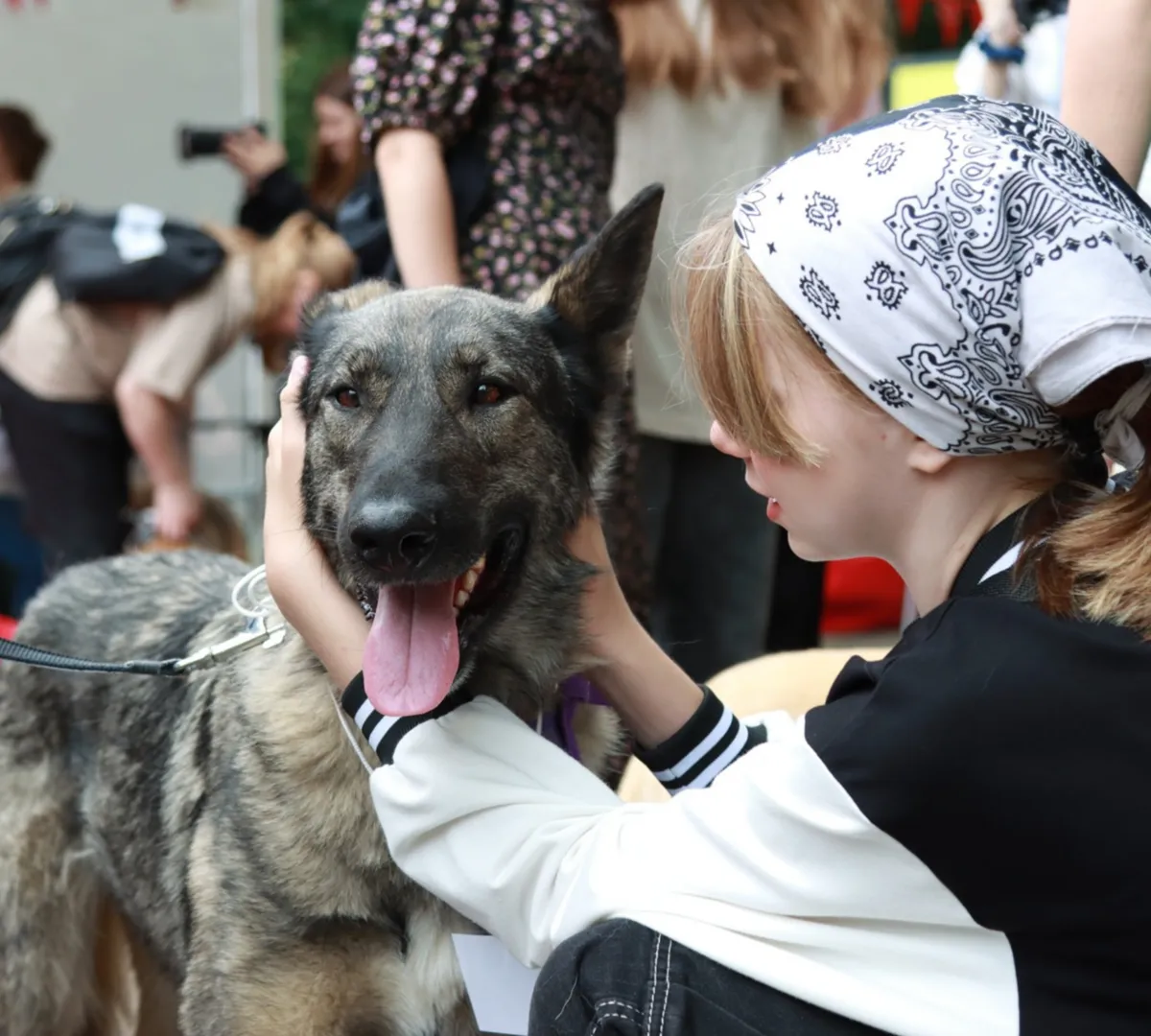 Афиша трансляции Фестиваль "Город неравнодушных"