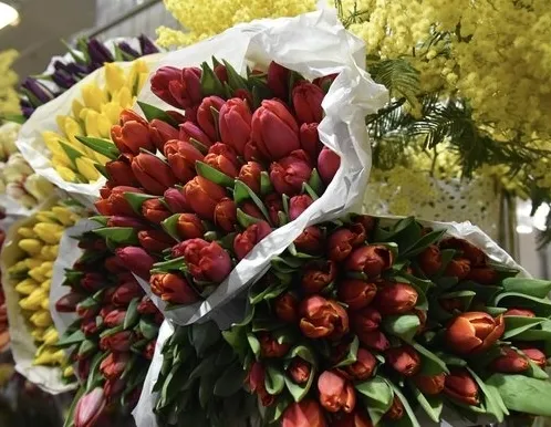 Афиша трансляции Наблюдаем за обстановкой на цветочном рынке перед 8 Марта