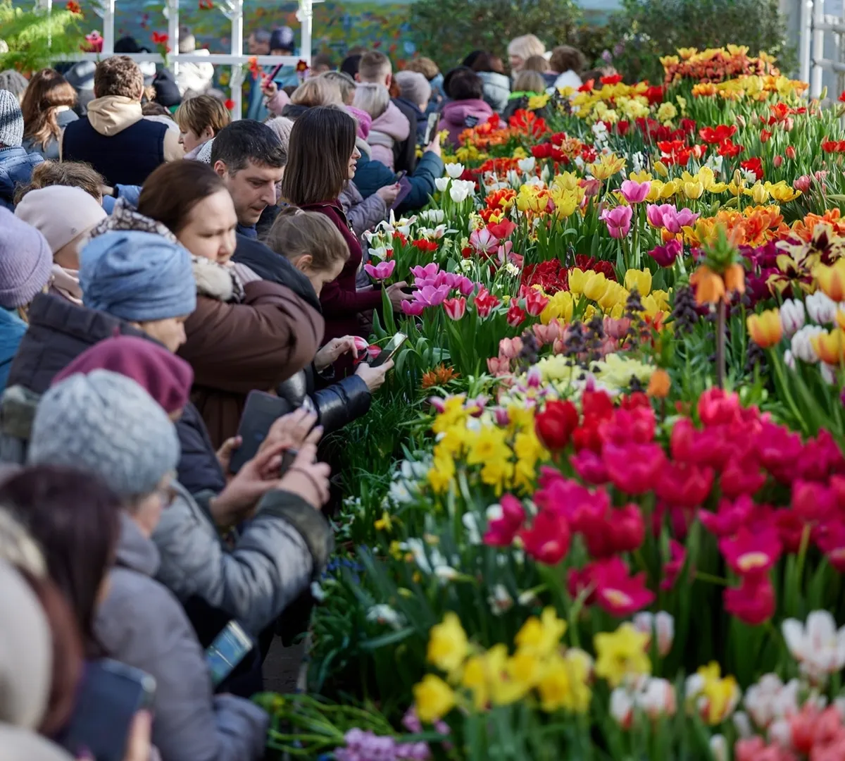Афиша трансляции Экскурсия по выставке цветов "Репетиция весны"
