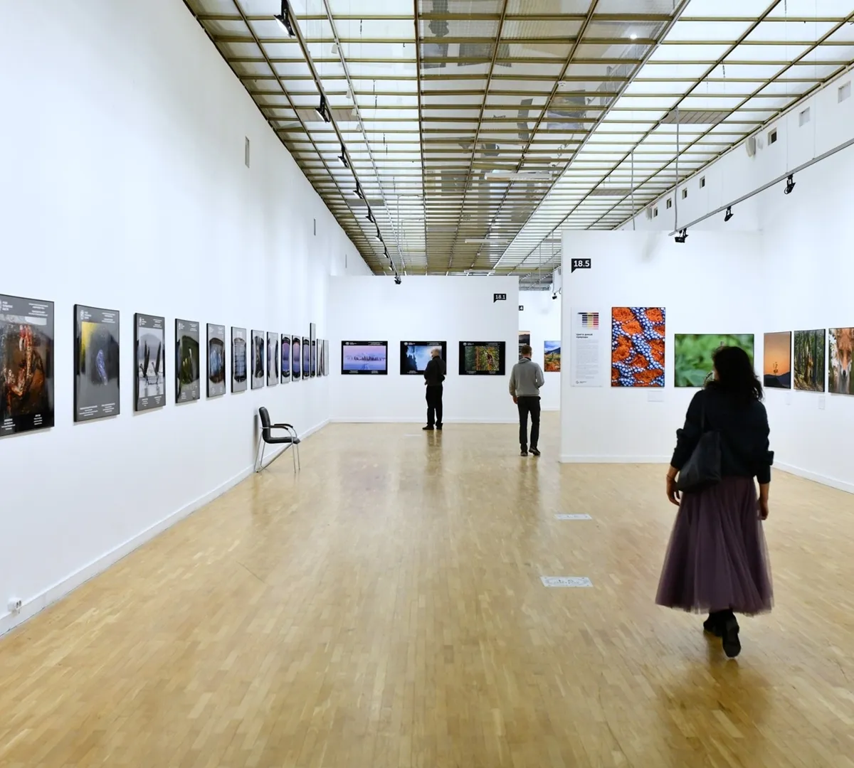 Афиша трансляции Обзор фестиваля "Первозданная Россия"