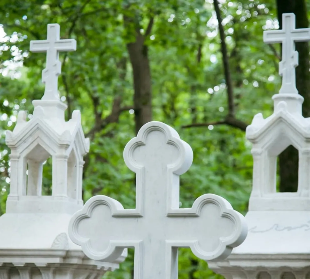 Афиша трансляции Как благоустроить пространства кладбищ в городе