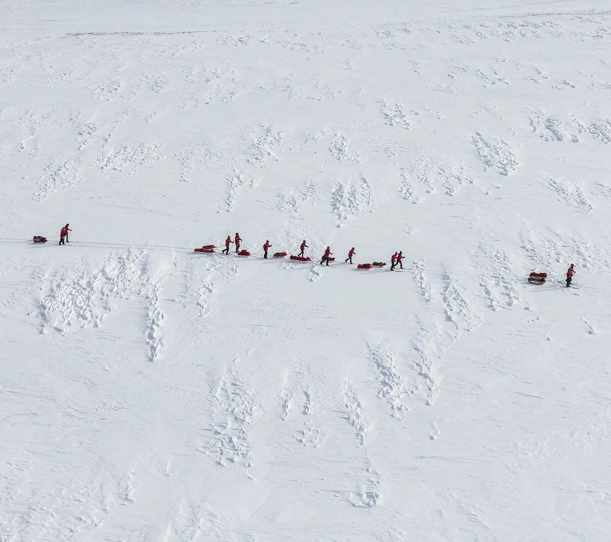 Афиша трансляции Старт Большой арктической экспедиции