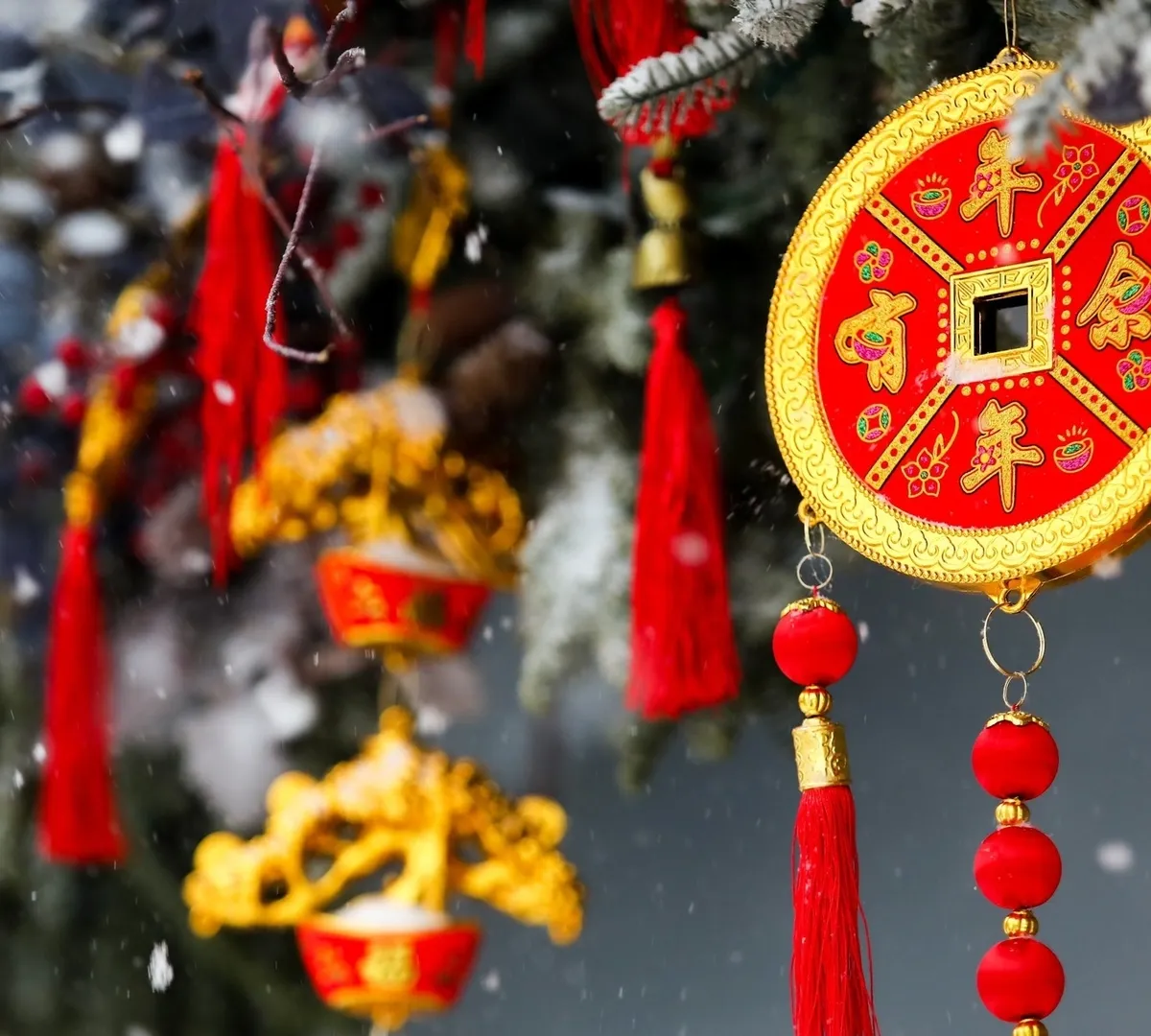 Афиша трансляции Открытие фестиваля "Китайский Новый год"