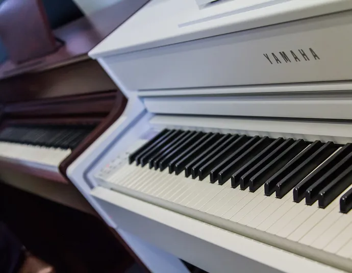 Афиша трансляции МузСалон24: мастер-класс Александра Заранкина из Animal ДжаZ