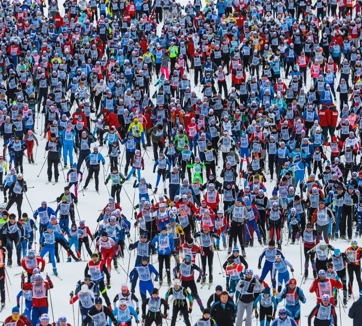 Афиша трансляции Массовая лыжная гонка "Лыжня России"