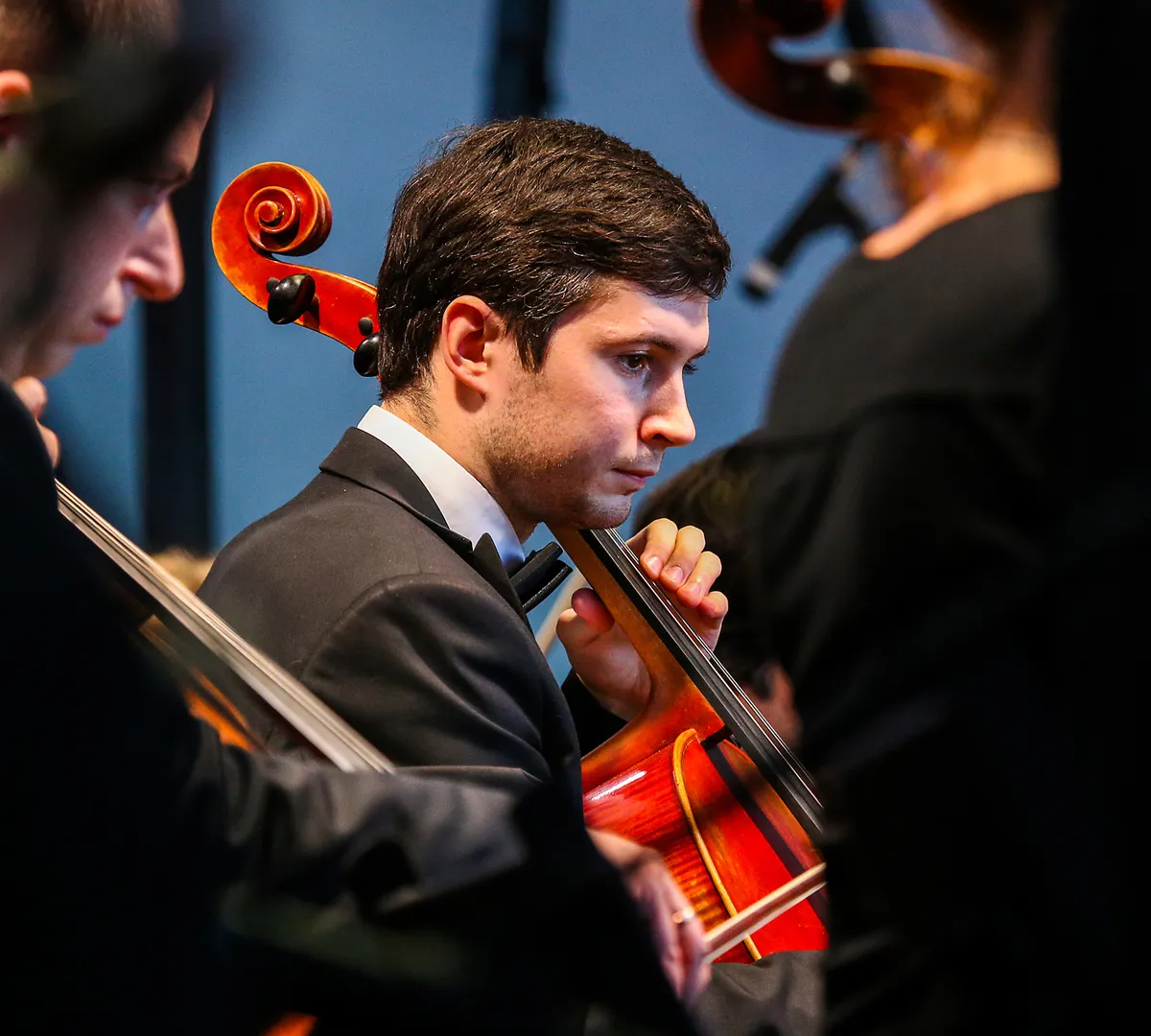 Афиша трансляции Симфонический концерт в честь Дня семьи, любви и верности