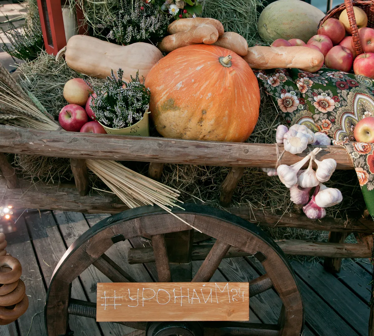 Афиша трансляции Молодые музыканты и поэты  зажигают на фестивале "Sолома"