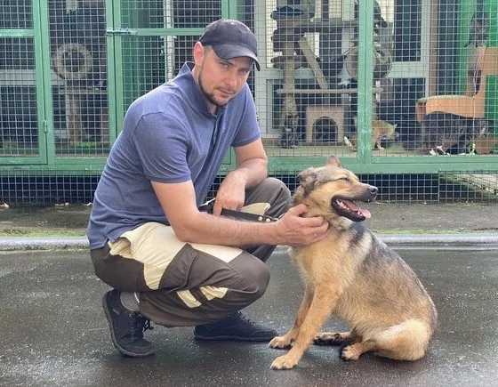 Афиша трансляции Стоит ли брать собаку из приюта и как это сделать