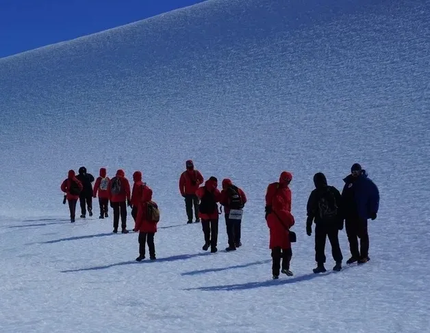 Афиша трансляции Антарктида снова на связи!