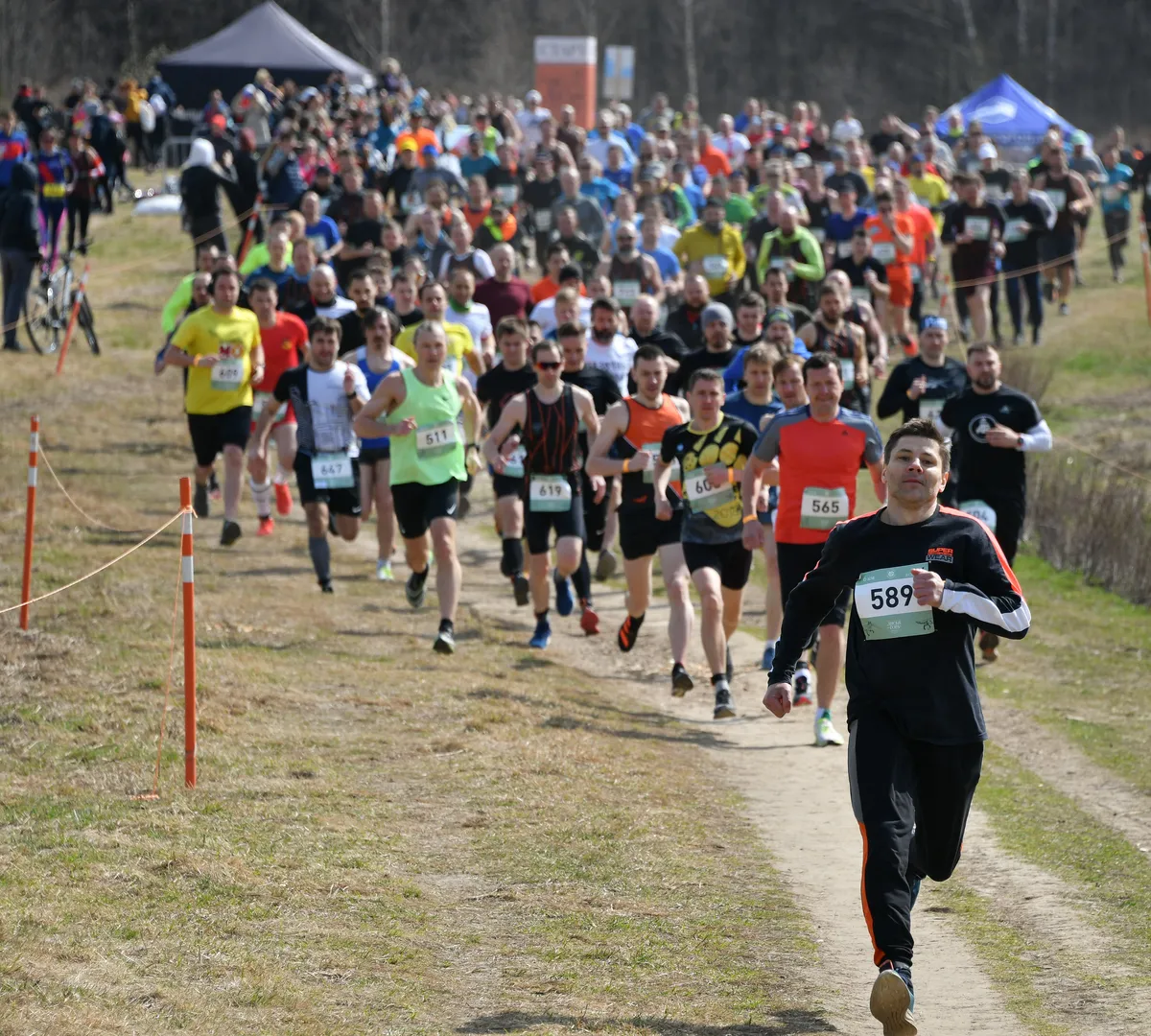 Афиша трансляции Кросс "Лисья гора"