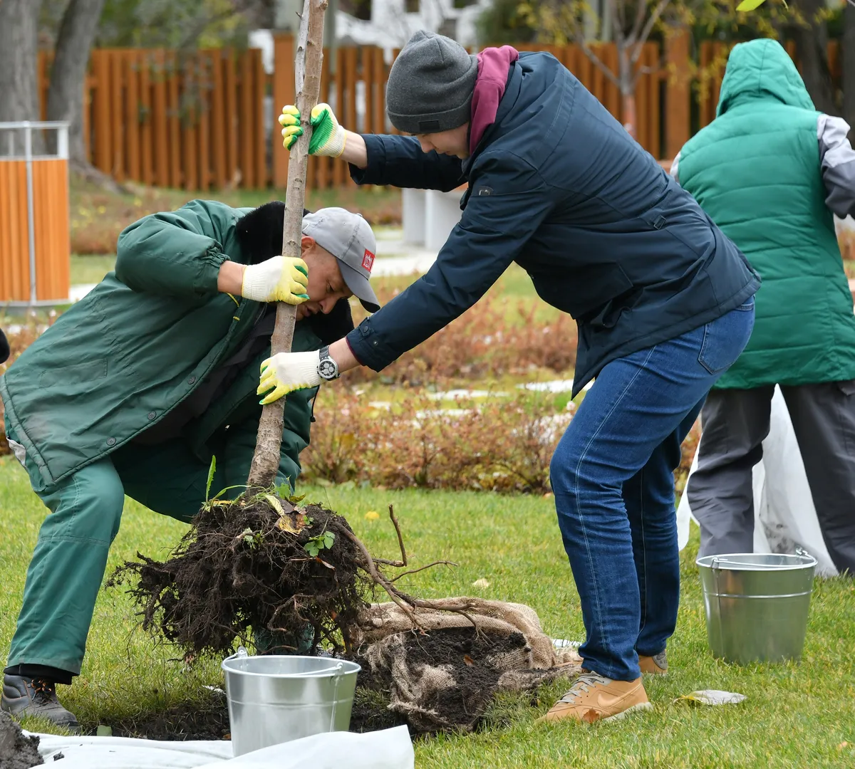 Афиша трансляции Известные люди участвуют в субботнике на ВДНХ