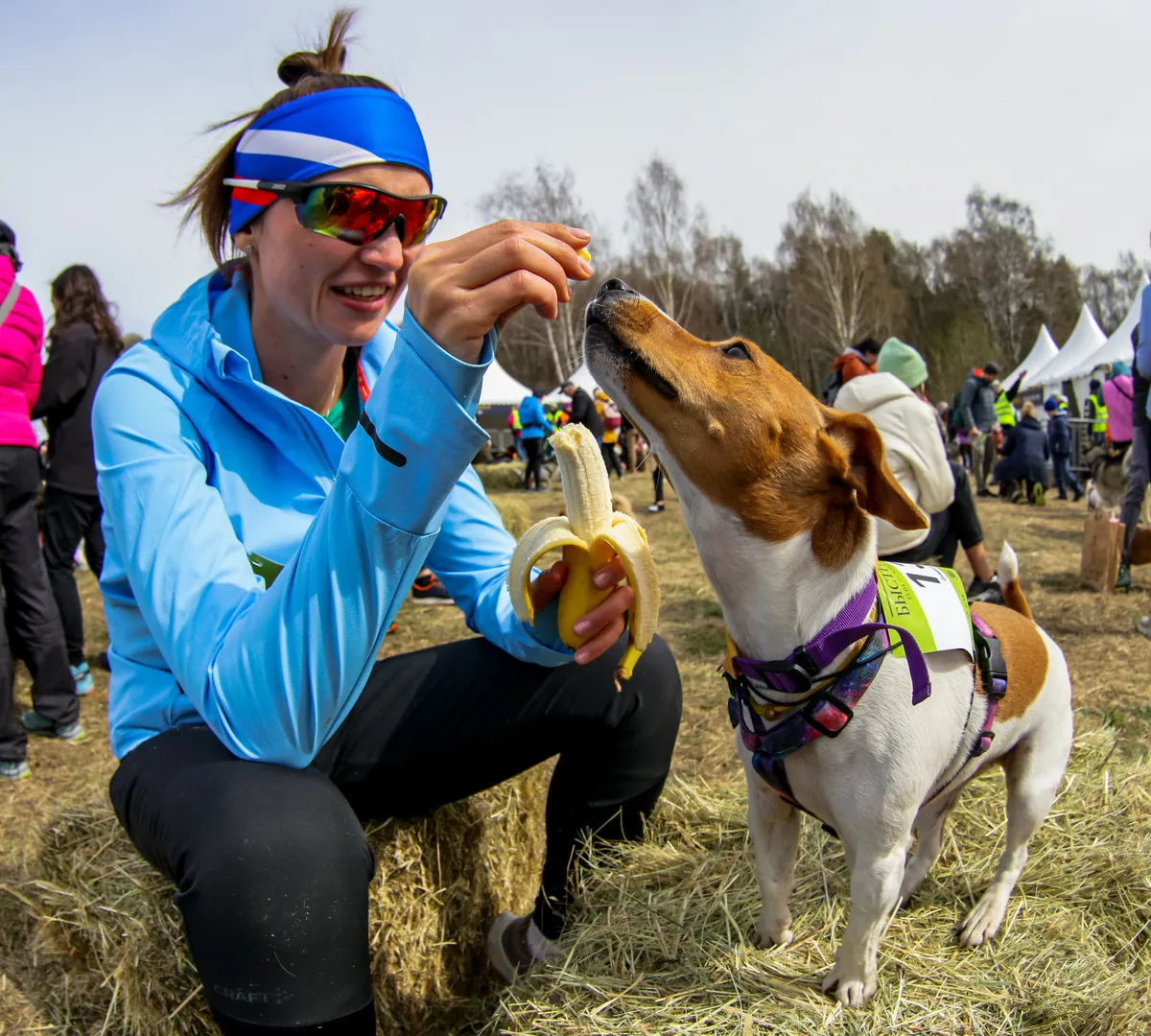 Афиша трансляции Кросс с собаками в Битцевском лесу