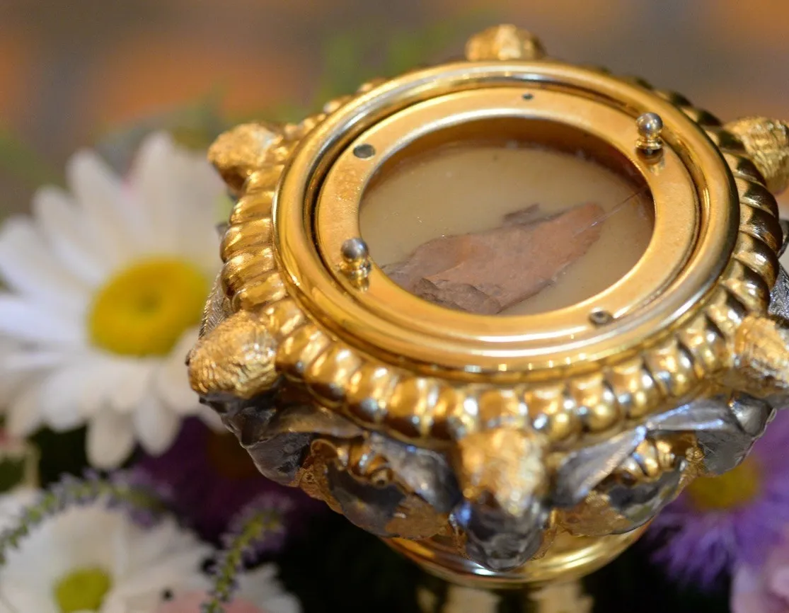 Афиша трансляции Встреча мощей Петра и Февронии и молебен патриарха Кирилла