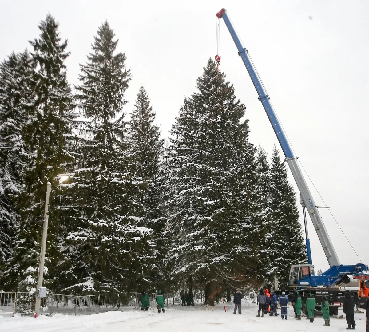 Афиша трансляции Отправка главной новогодней елки из Подмосковья в столицу