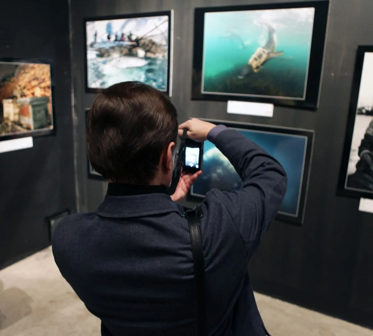 Афиша трансляции Экскурсия по фестивалю "Золотая черепаха"