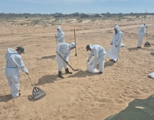 Афиша трансляции Дискуссия об экологической обстановке на побережье Анапы