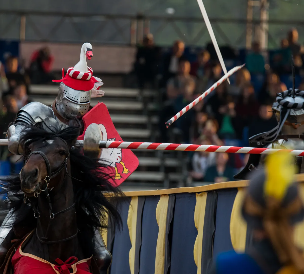 Афиша трансляции Финал рыцарского турнира святого Георгия