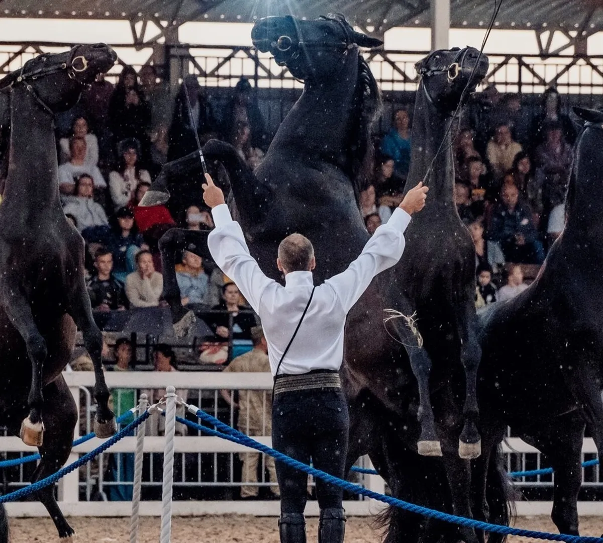 Афиша трансляции Конное шоу с воздушными гимнастами и световыми эффектами