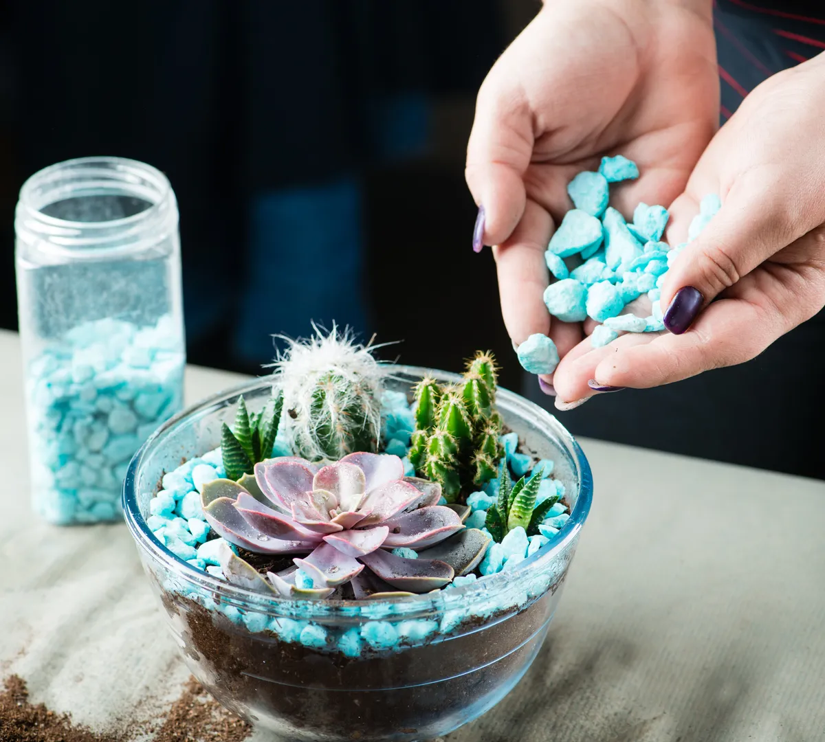 Афиша трансляции Как сделать мини-сад в прозрачной вазе