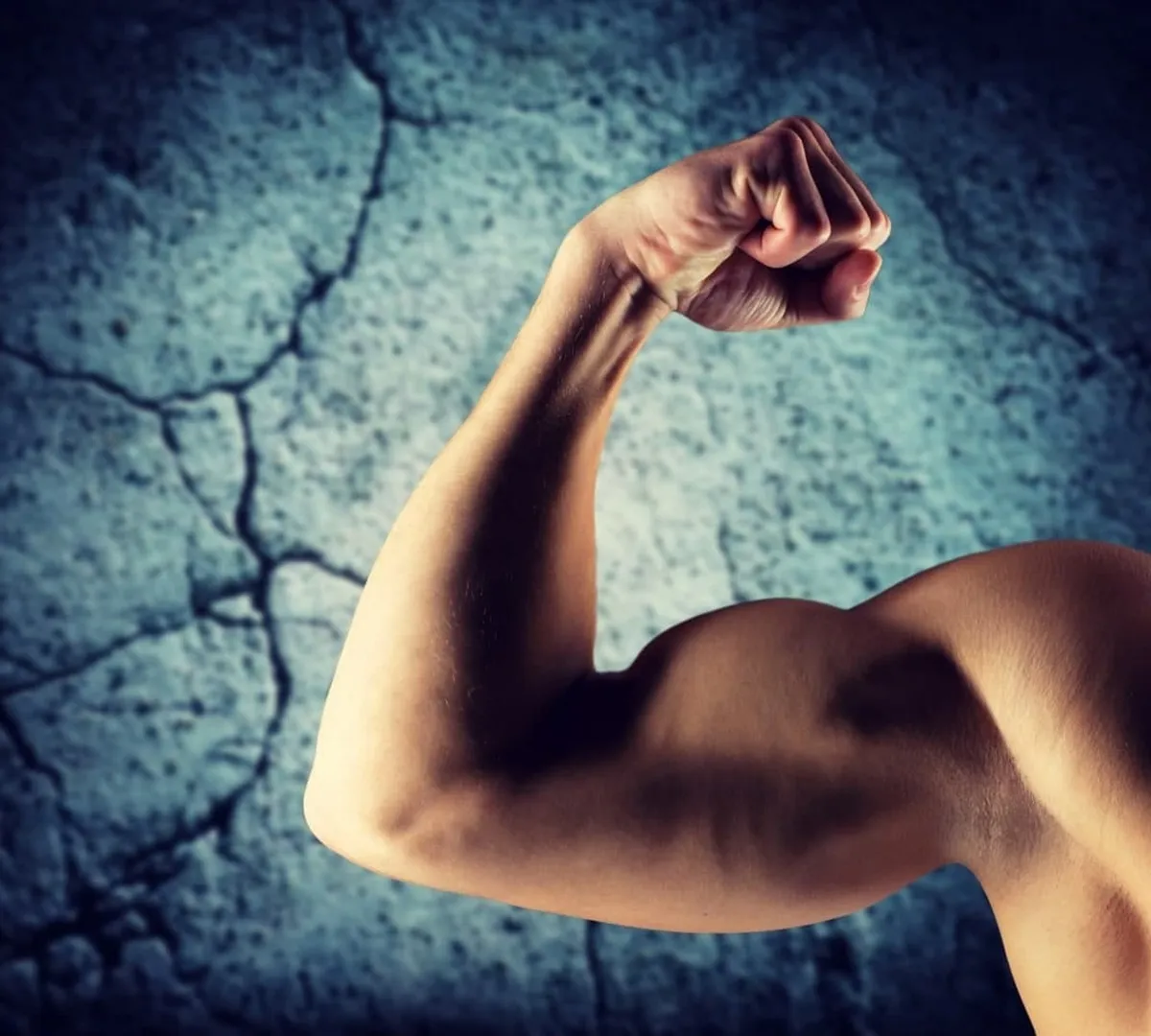 Афиша трансляции Шоу современных русских богатырей