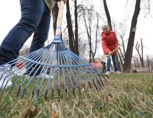 Афиша трансляции Весенний субботник прошел на территории ВДНХ