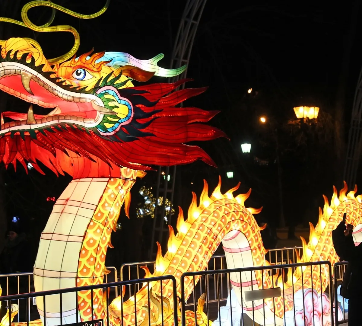 Афиша трансляции Празднование китайского Нового года на ВДНХ