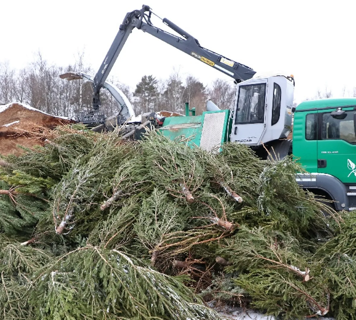 Афиша трансляции Работа пункта утилизации новогодних елок