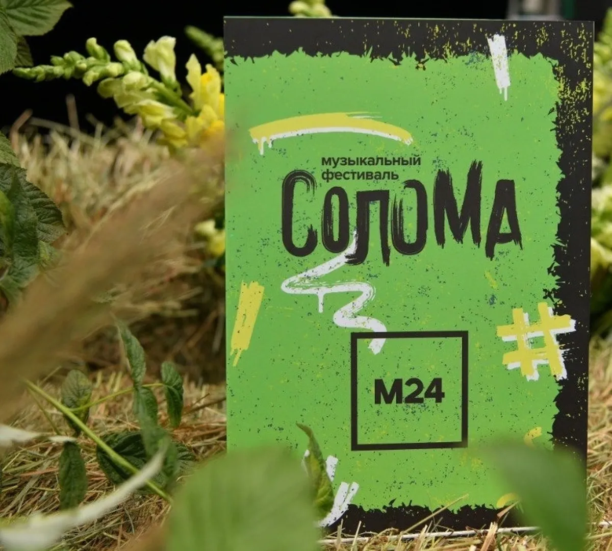 Афиша трансляции Выступления Gorech, DJ Kolganov, SHOO на фестивале "Солома"