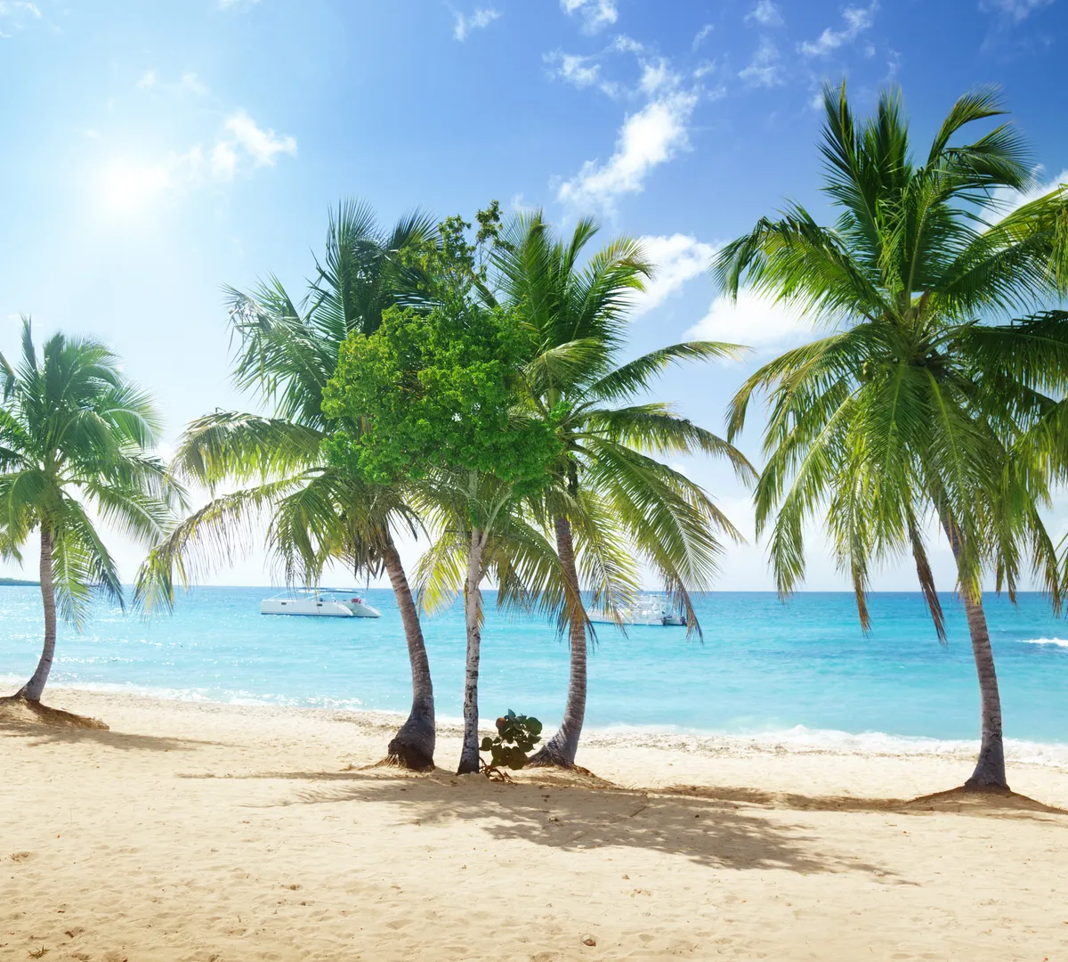 Афиша трансляции Какие сервисы помогут сделать путешествия незабываемыми